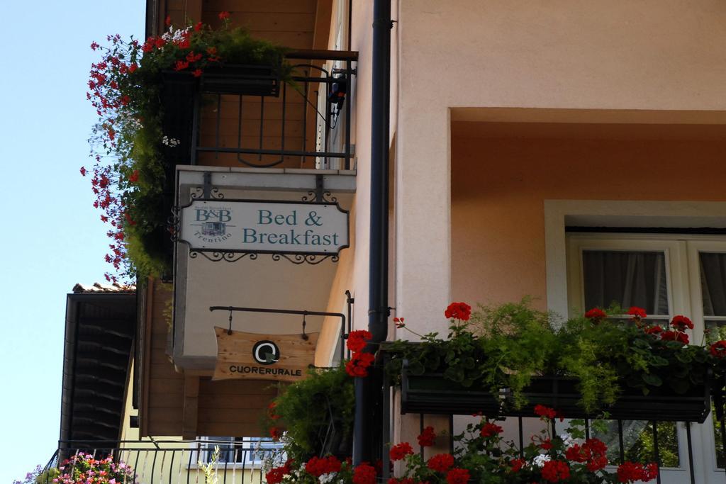 B&B Casa Riz Castello-Molina di Fiemme Екстериор снимка