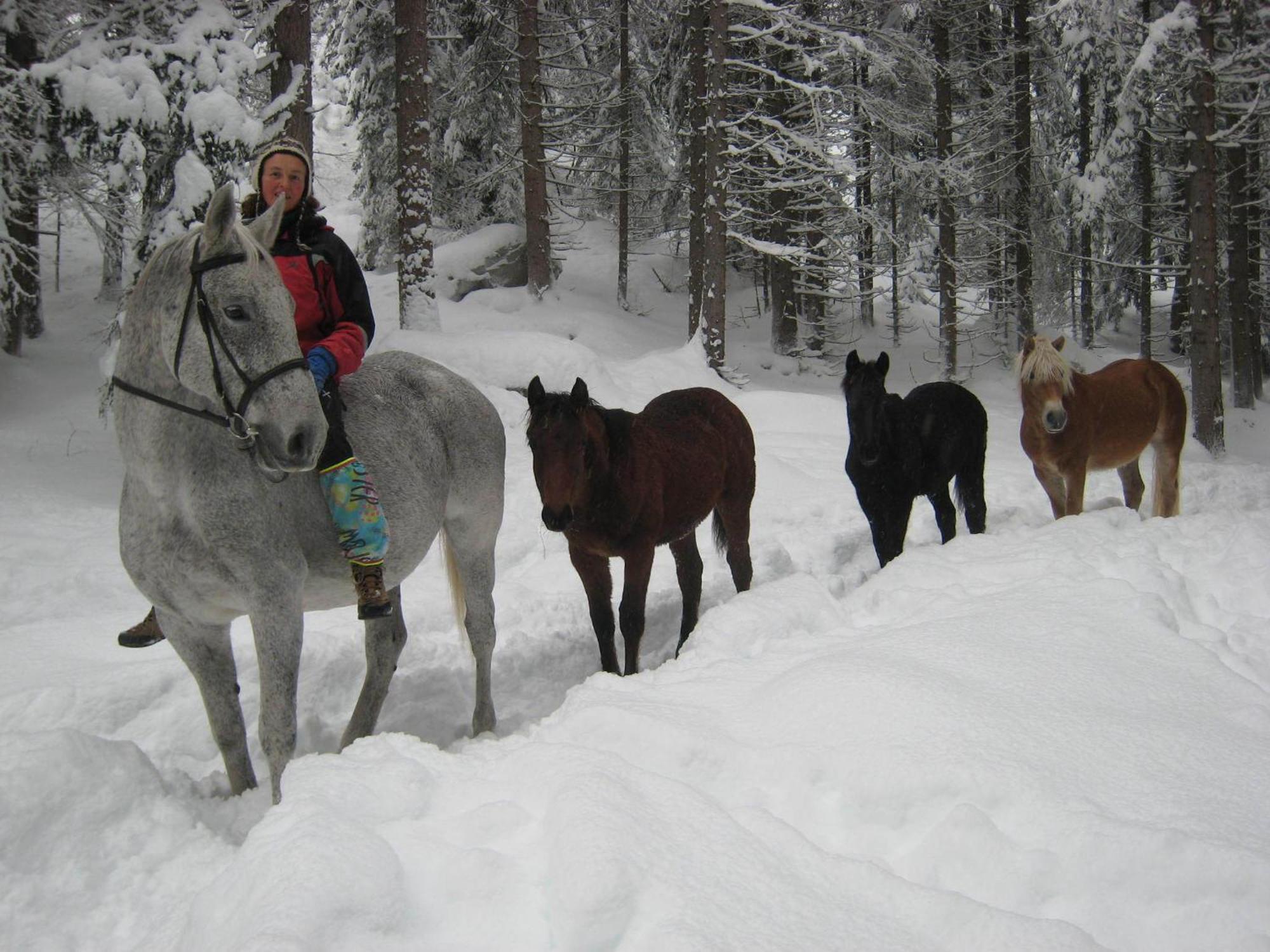 B&B Casa Riz Castello-Molina di Fiemme Екстериор снимка